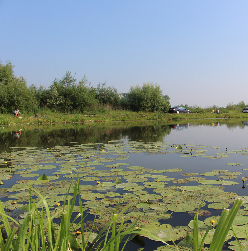 Motycze Poduchowne - jezioro otoczone róznorodną roślinnością
